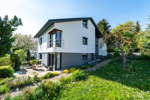 Langenau / Albeck Häuser, Langenau / Albeck Haus kaufen