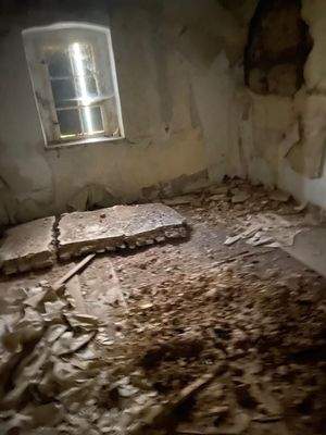 d3667b84-d39e-4137-9488-5672cfe26c2d