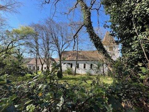 Saarbrücken Renditeobjekte, Mehrfamilienhäuser, Geschäftshäuser, Kapitalanlage