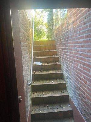 Außenzugang zum Garten vom Keller aus