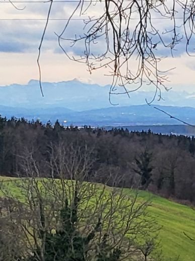 Bezahlbare Doppelhaushälfte mit Alpensicht