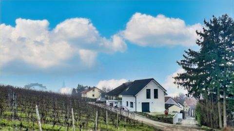 Jugenheim Häuser, Jugenheim Haus kaufen