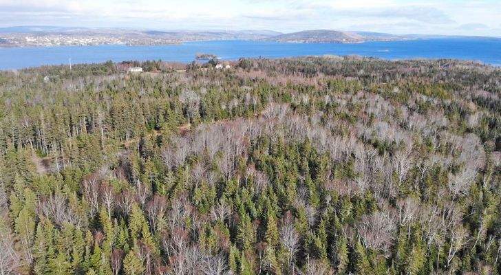 Cape Breton - Bras d`Or Lake - 18-Hektar-Areal in 