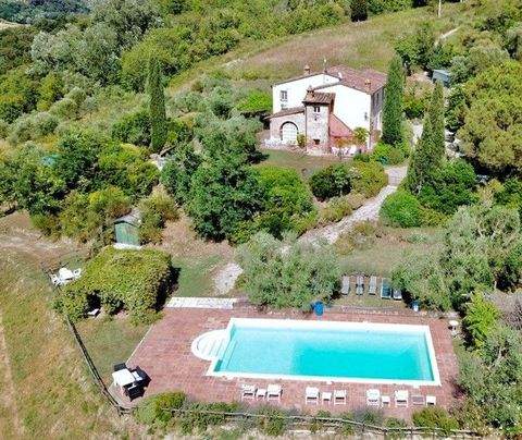 Palaia Häuser, Palaia Haus kaufen