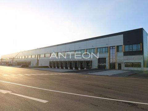 Oberhausen Halle, Oberhausen Hallenfläche