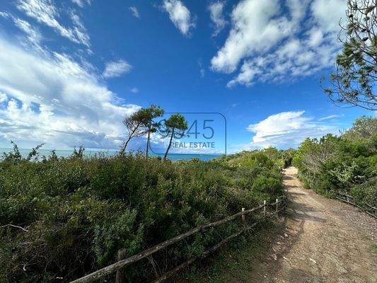 Exklusive Villa mit Pool in der Pineta di Roccamare an der toskanischen Küste