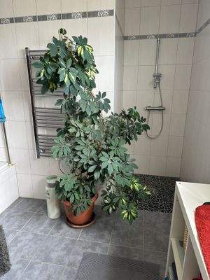 WhatsApp Image 2025-09-17 at 10.15.13(2).jpeg