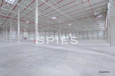 Vechta Halle, Vechta Hallenfläche