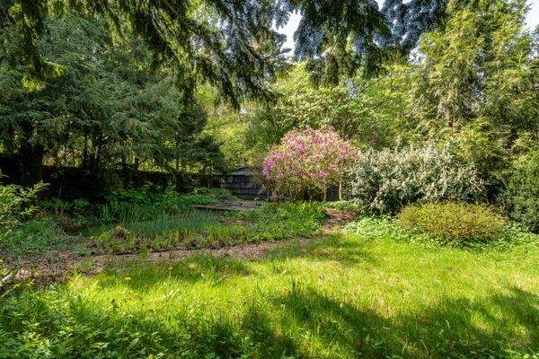 Norderstedt-Grundstück-mit-Altbestand-in-Waldrandlage-25