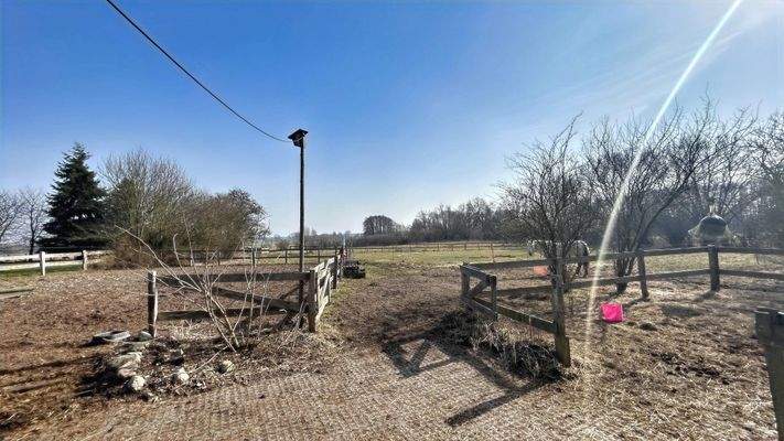 Beleuchteter Reitplatz und Koppel