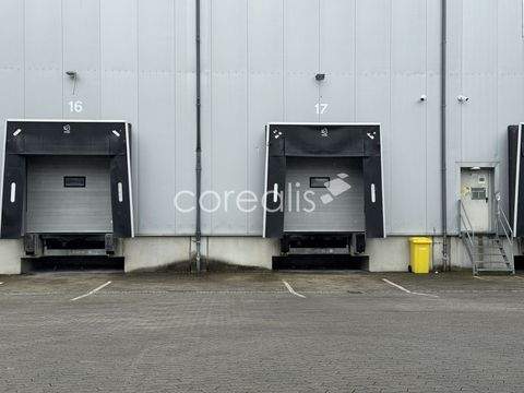 Wuppertal Halle, Wuppertal Hallenfläche