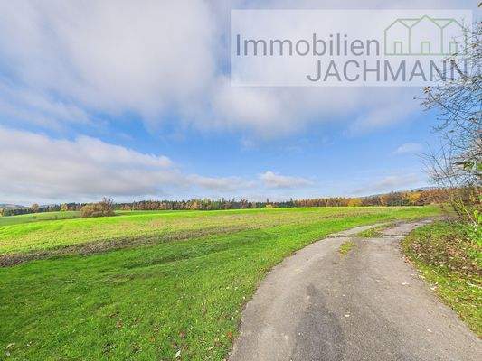 Direkter Spazierweg angrenzend