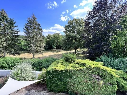 434 OG Ausblick vom Balkon auf den Park