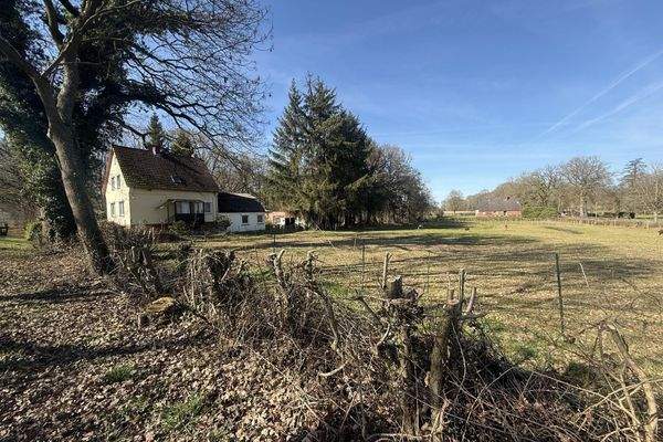 Blick auf Haus und Nachbarweide