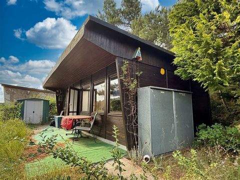 Bad Schmiedeberg Häuser, Bad Schmiedeberg Haus kaufen