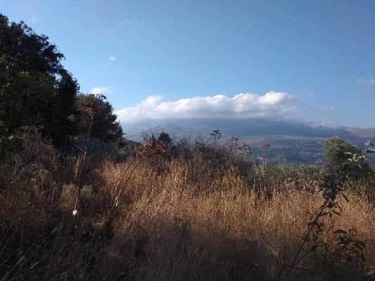 Kreta, Kokkino Chorio: Grundstück mit Panoramablick auf die Landschaft zu verkaufen