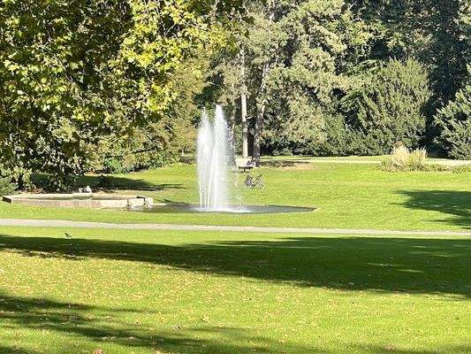 Der Stadtgarten fast gegenüber