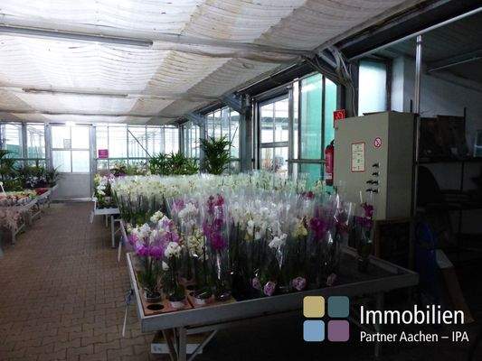 Verkauf und Produktion