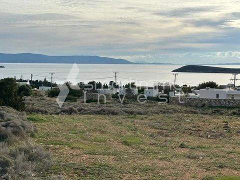 Dryos, Paros Bauernhöfe, Landwirtschaft, Dryos, Paros Forstwirtschaft