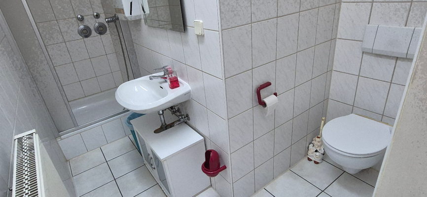 Gemeinenschafttoilette mit Dusche im Gang 
