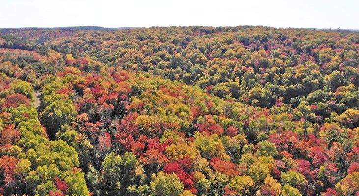 Nova Scotia - West Side Country Harbour - 52-Hekta