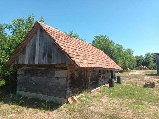 WhatsApp Image 2025-07-01 at 08.25.09 (7)