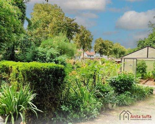 Garten mit Gewächshaus