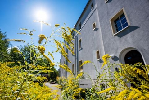 Bitterfeld-Wolfen Wohnungen, Bitterfeld-Wolfen Wohnung mieten