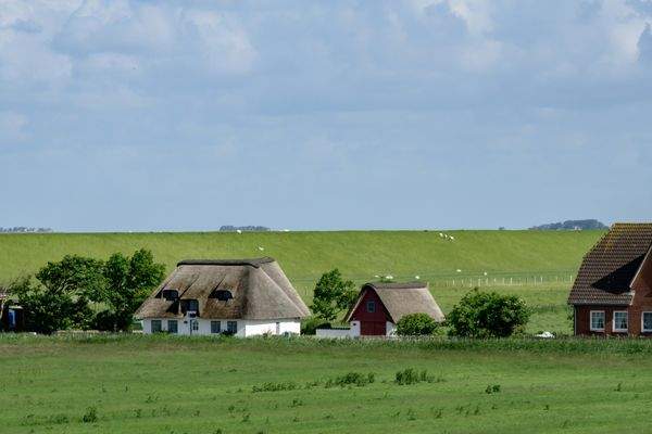 Blick über den Deich zum Meer