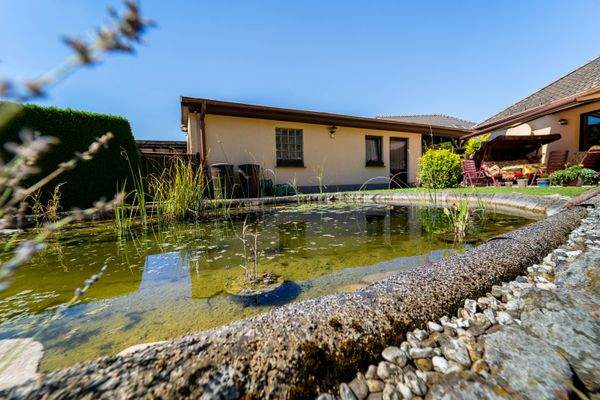 Außenansicht + Garten