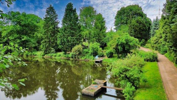 Zufahrt Grundstück mit eigenem Weiher
