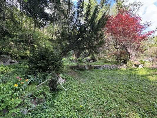 Bild 19