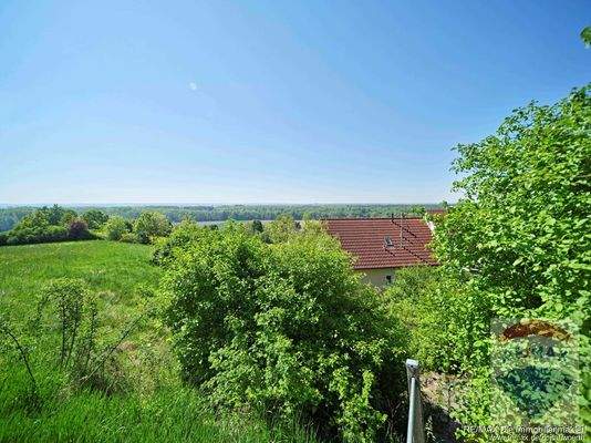 Blick zur Donauebene