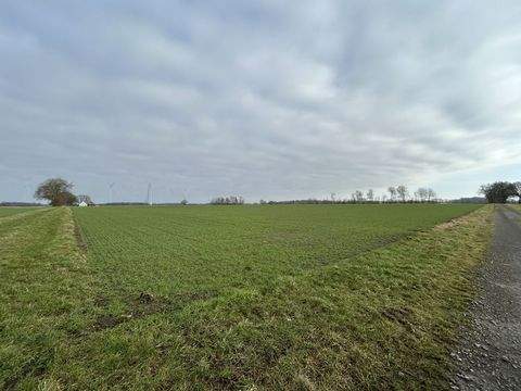 Neuenkirchen / Blockwinkel Bauernhöfe, Landwirtschaft, Neuenkirchen / Blockwinkel Forstwirtschaft