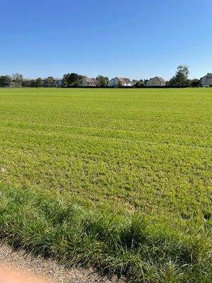 Nachbargrundstück im Osten vor den bebauten Grunds