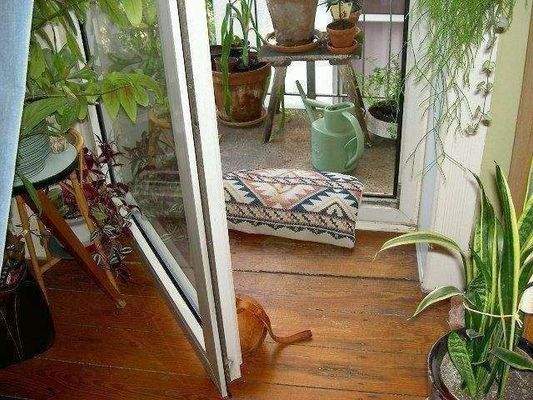 Hamburg St.Pauli 014.JPG