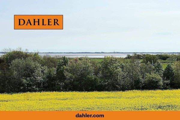 Weitblick bis nach Amrum (Mühle)