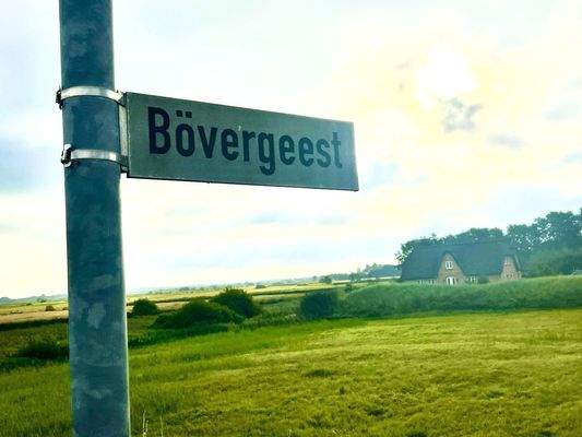 Bövergeest