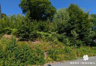 Straßenansicht des Grundstücks