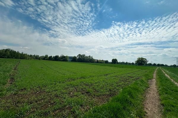 Blick auf das Grundstück