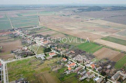 Beli Manastir Häuser, Beli Manastir Haus kaufen
