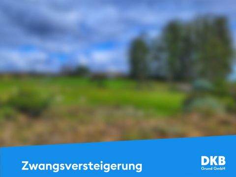 Gera / Frankenthal Bauernhöfe, Landwirtschaft, Gera / Frankenthal Forstwirtschaft