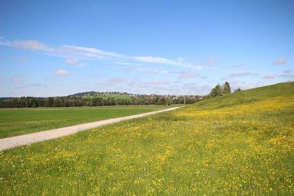 Ruhige Lage, grüne Umgebung – und das Honigdorf Seeg in Sichtweite