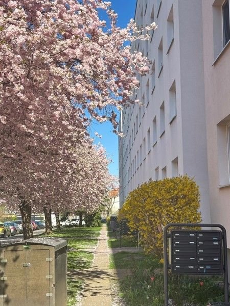 Dresden Wohnungen, Dresden Wohnung mieten