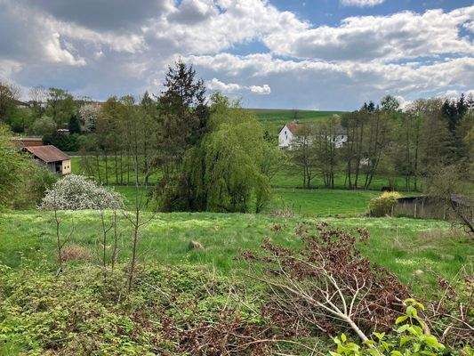 Blick auf das Grundstück