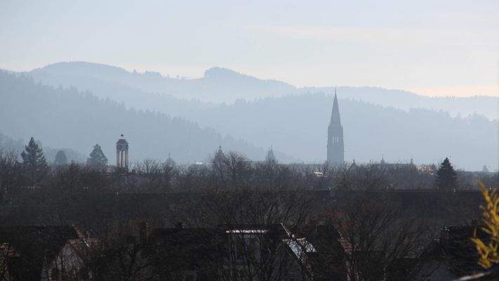 Freier Blick über die umliegenden Dächer bis hin zum Freiburger Münster