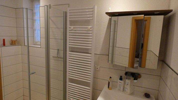 Erdgeschoss Duschbad