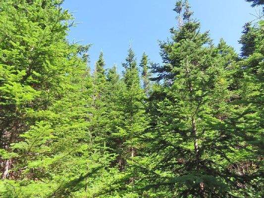 Cape Breton - Top-Investment-Gelegenheit:  Neu-Ers