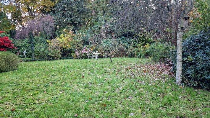 Der eingewachsene Garten