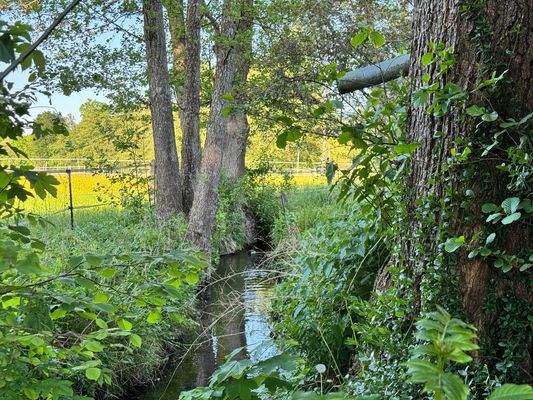 Idyllischer Bachlauf